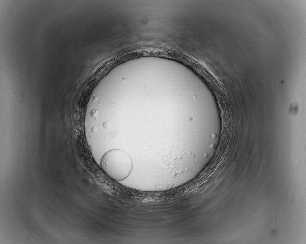 X0000100351399200806060749