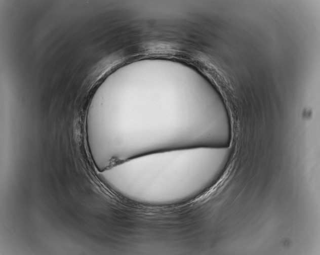 X0000100351401200806060749