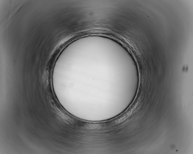 X0000100351402200806060749
