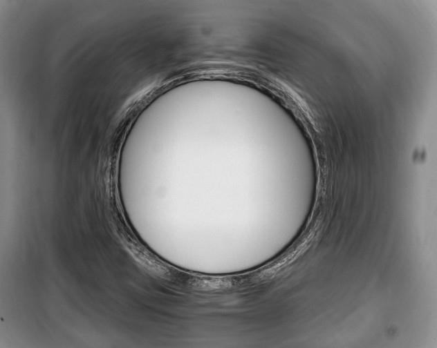 X0000100351403200806060749