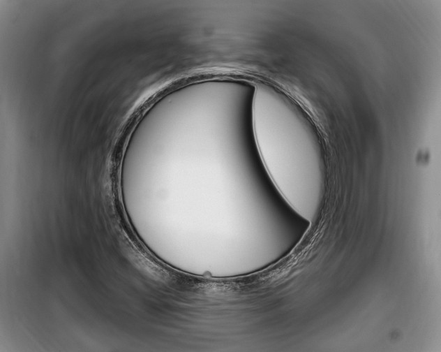 X0000100351404200806060749