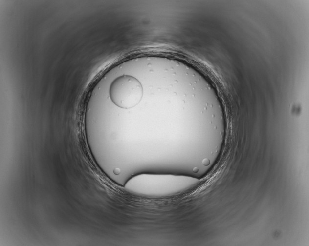 X0000100351405200806060749