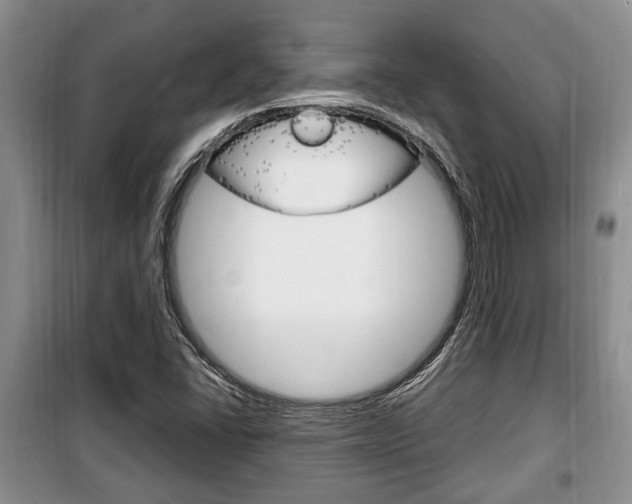X0000100351406200806060749