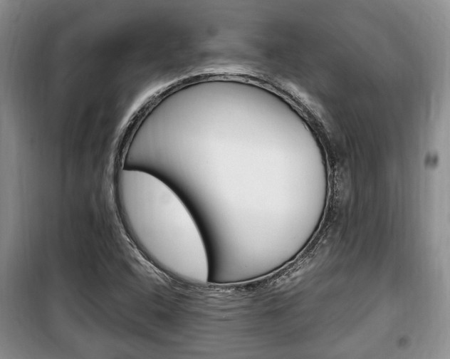 X0000100351408200806060749