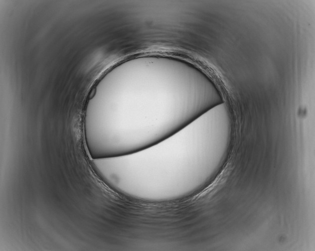 X0000100351409200806060749