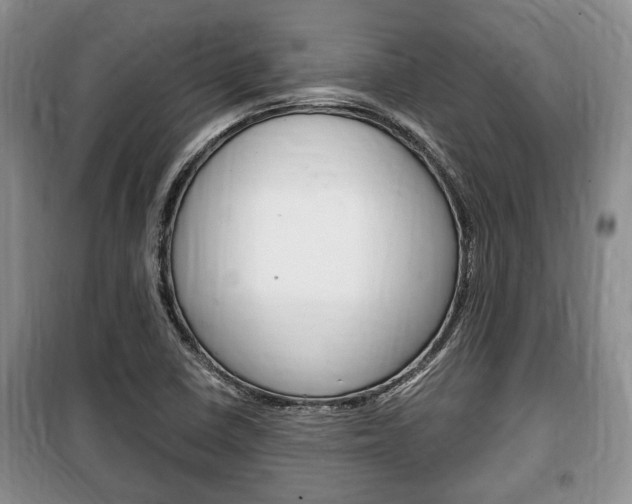 X0000100351410200806060749