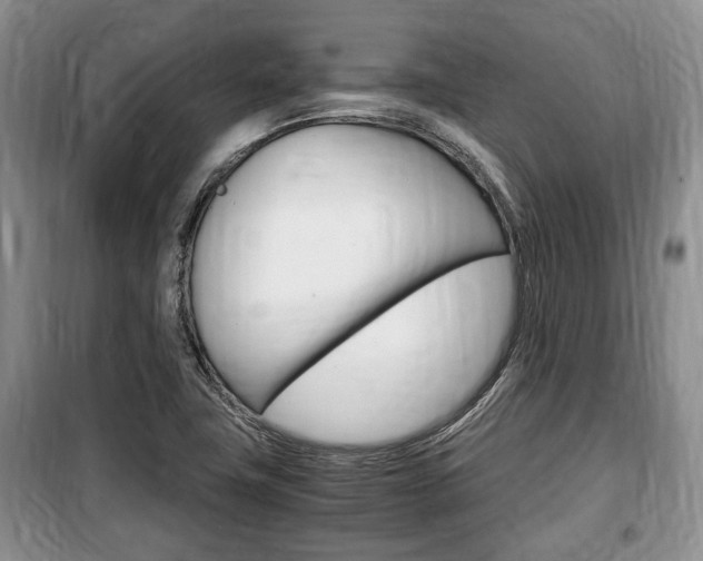 X0000100351411200806060749