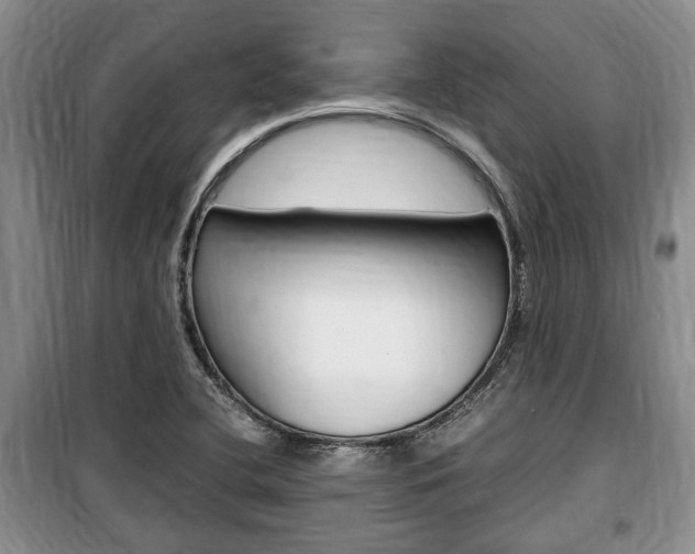 X0000100351412200806060749