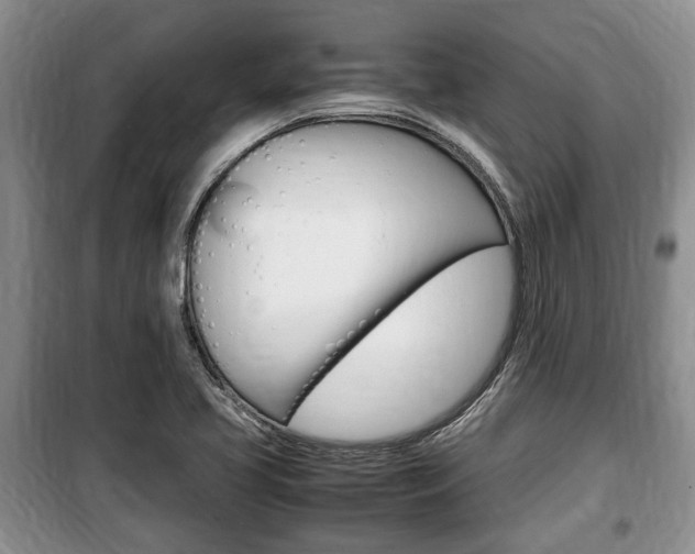 X0000100351413200806060749