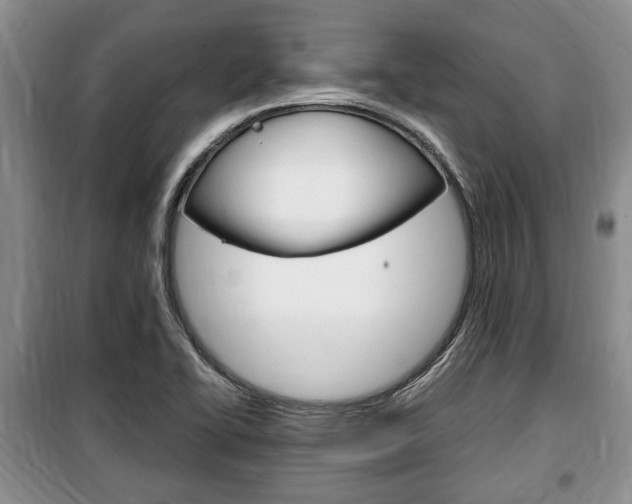 X0000100351414200806060749