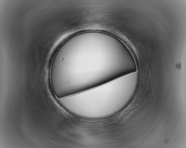 X0000100351416200806060749