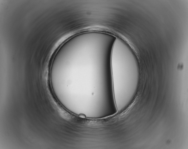 X0000100351418200806060749