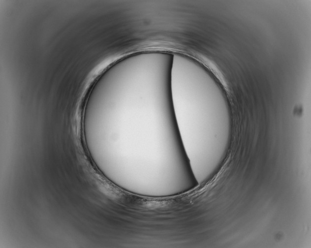 X0000100351419200806060750