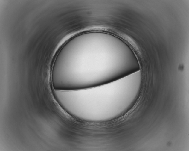 X0000100351420200806060750