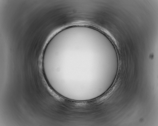 X0000100351421200806060750