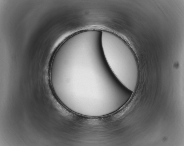 X0000100351422200806060750