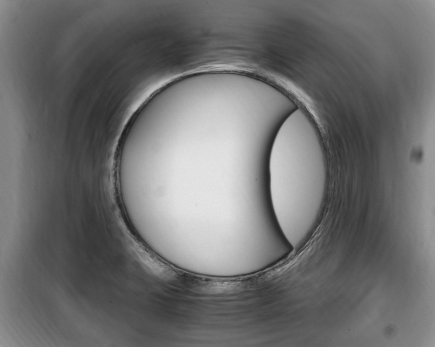 X0000100351423200806060750