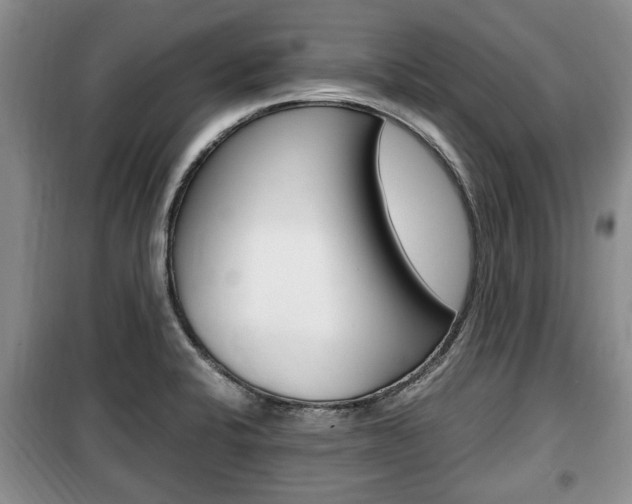 X0000100351424200806060750