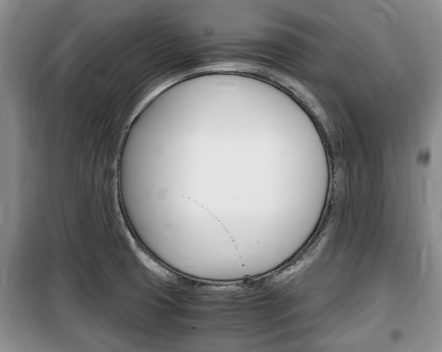 X0000100351425200806060750