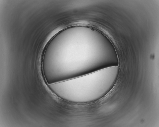 X0000100351426200806060750