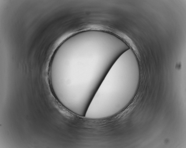 X0000100351427200806060750