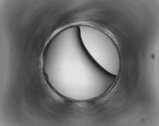 X0000100351428200806060750
