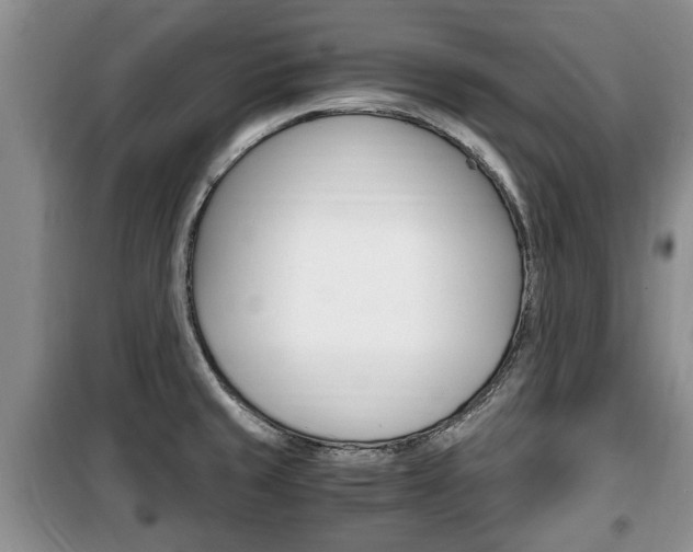 X0000100351429200806060750