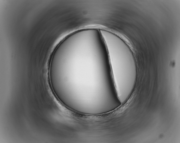 X0000100351430200806060750