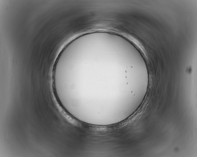 X0000100351431200806060750