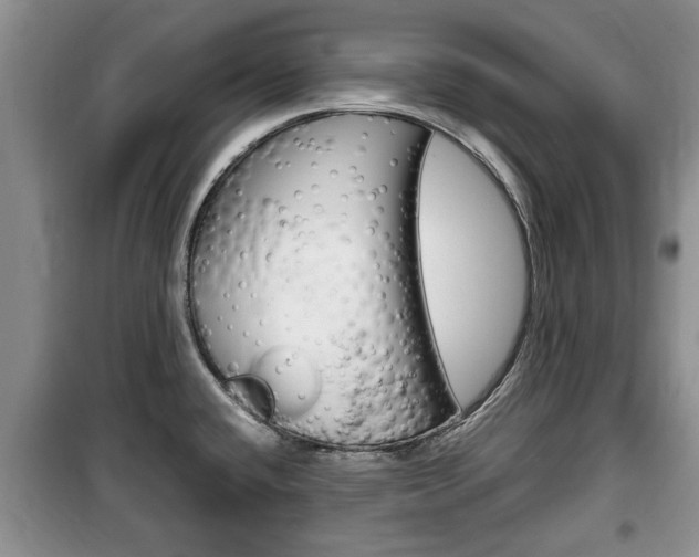 X0000100351432200806060750