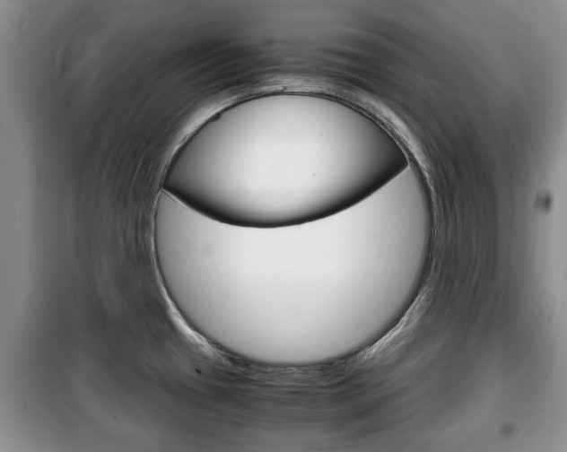 X0000100351433200806060750