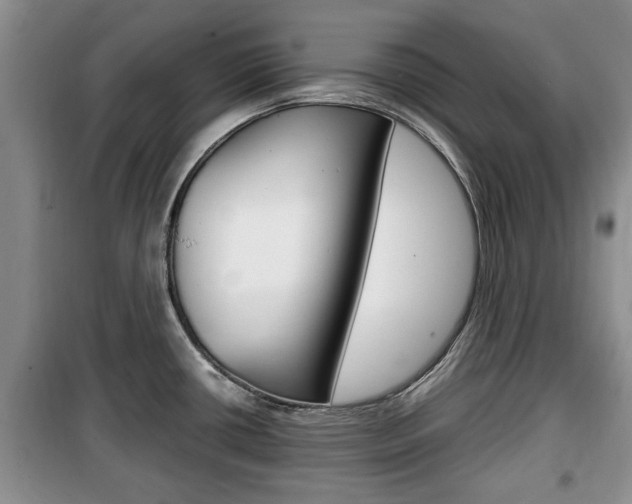 X0000100351434200806060750