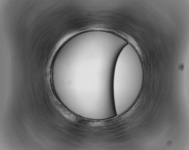 X0000100351435200806060750
