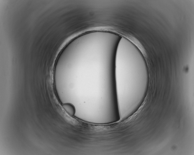 X0000100351436200806060750