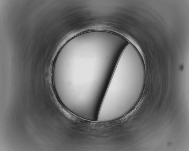 X0000100351437200806060750