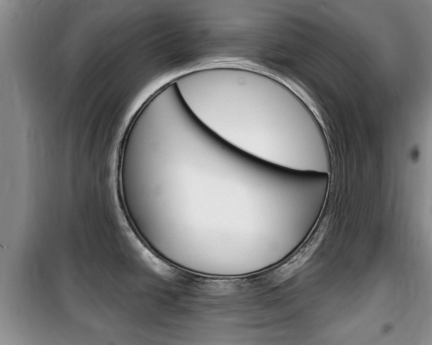 X0000100351438200806060750