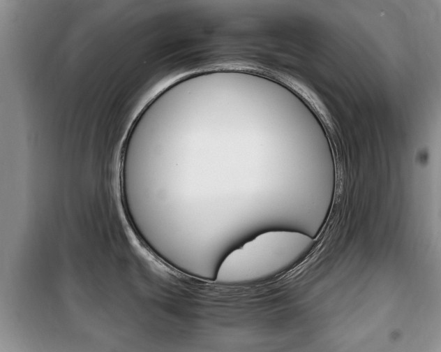 X0000100351439200806060750
