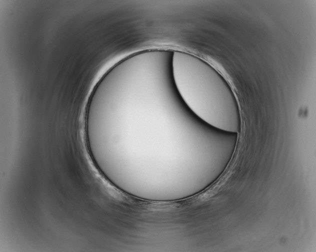 X0000100351440200806060750