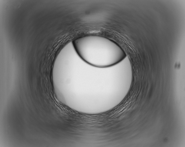 X0000100351441200806060749