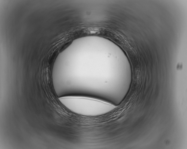 X0000100351442200806060749