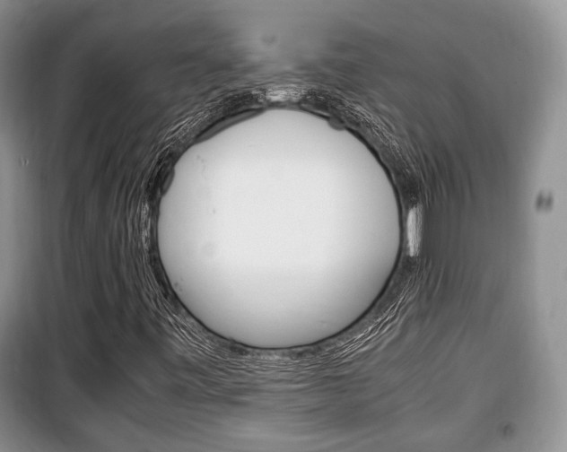 X0000100351443200806060749