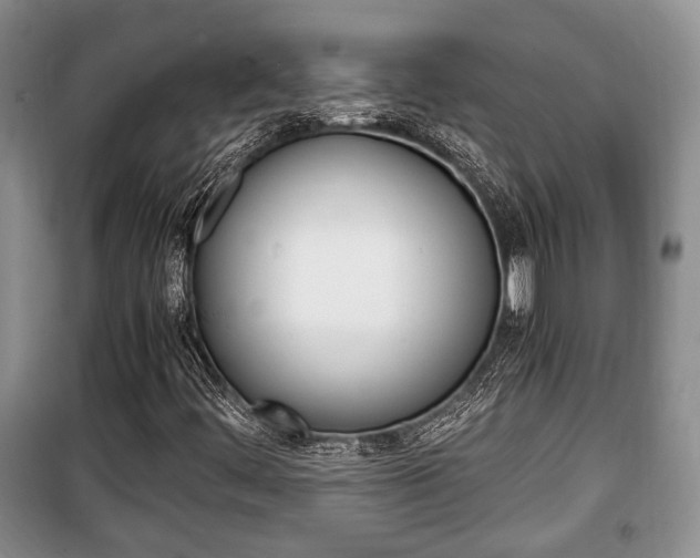 X0000100351444200806060749