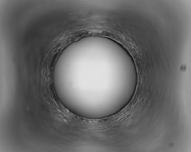 X0000100351445200806060749