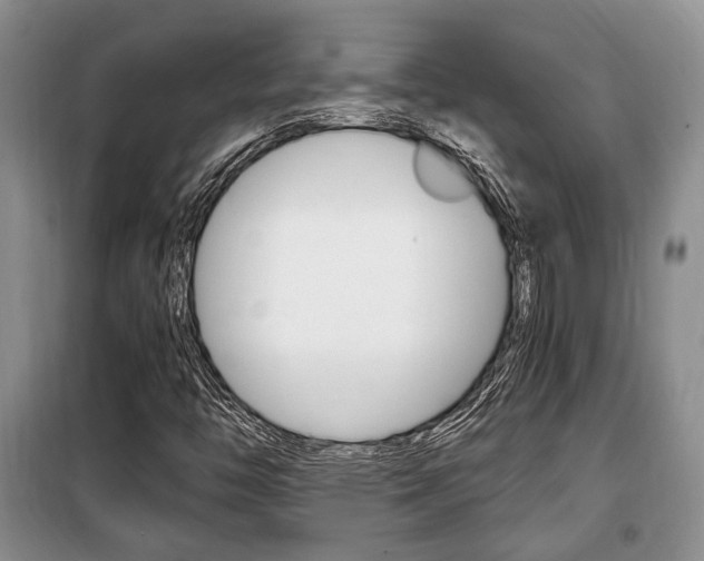 X0000100351446200806060749