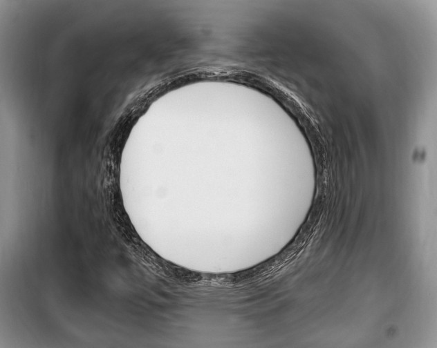 X0000100351447200806060749