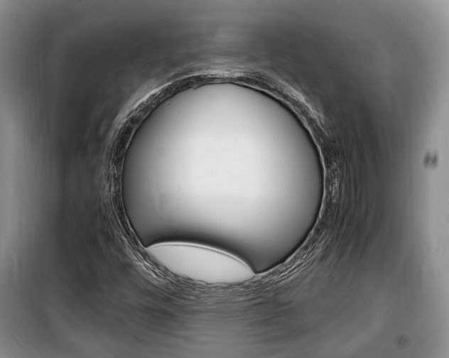 X0000100351448200806060749