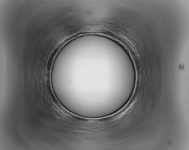 X0000100351449200806060749