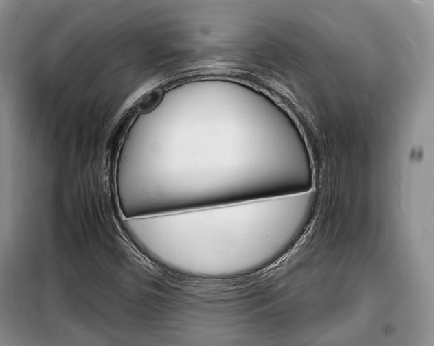 X0000100351450200806060749