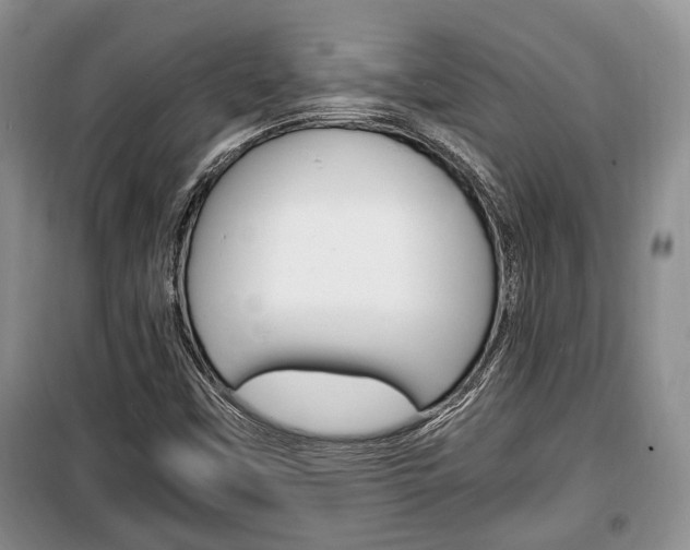 X0000100351451200806060749