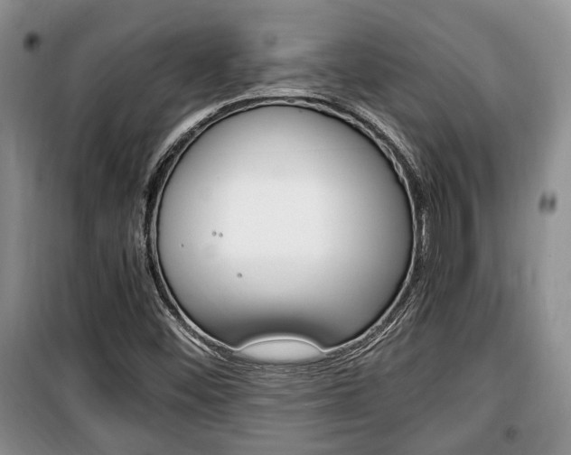 X0000100351452200806060749